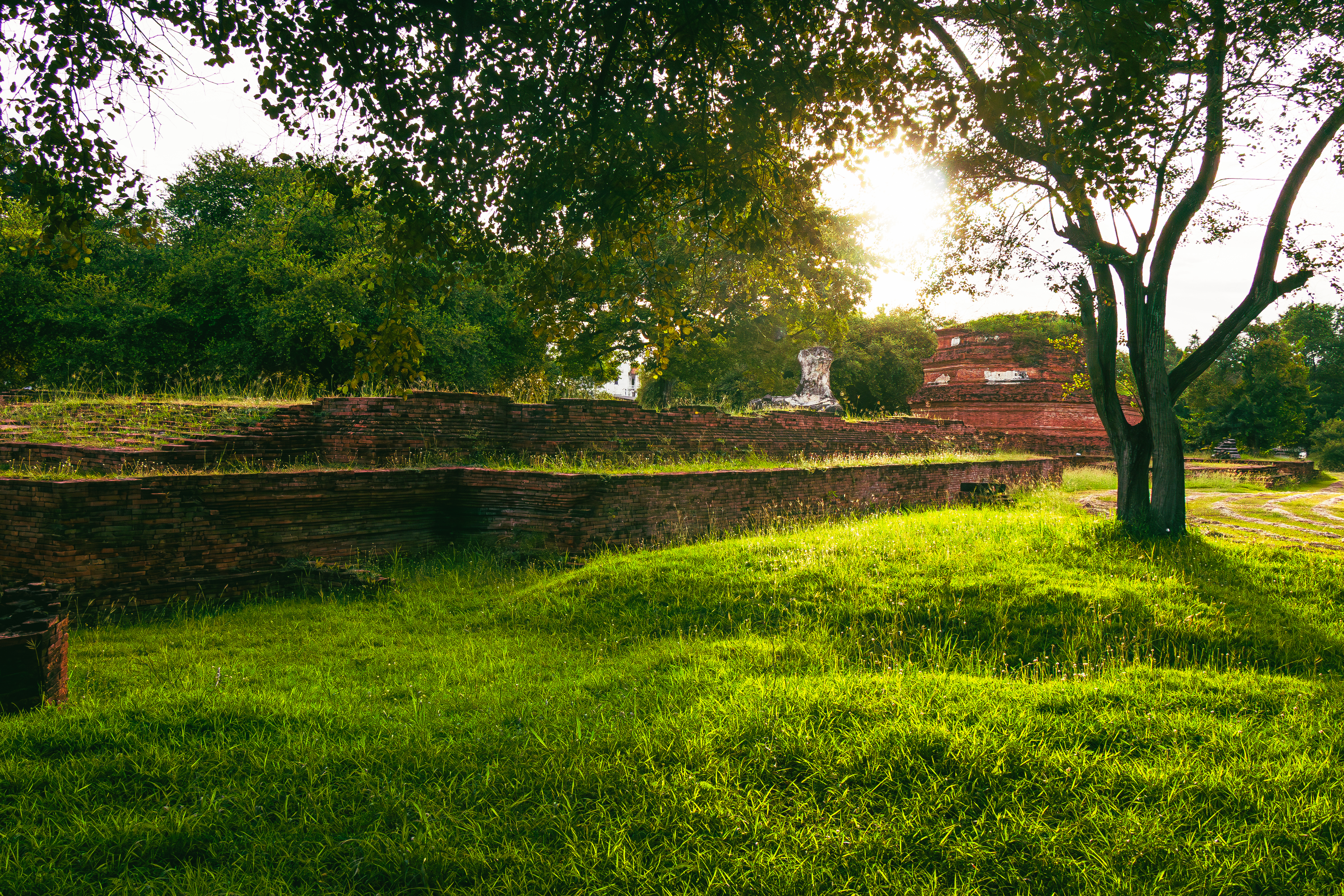 Photo de randonnée dans les Pyrénées, sur le chemin en direction du col des Sarradets. Vue sur le Pic de la Pahule et le Mont Mourgat.